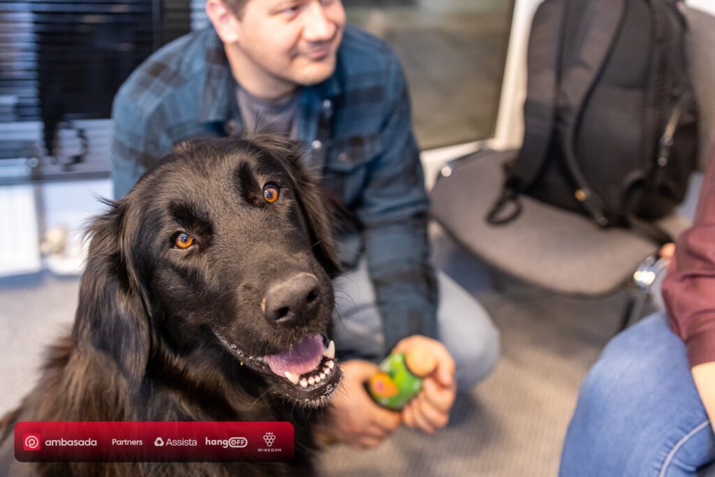 ambasada corbii din deal